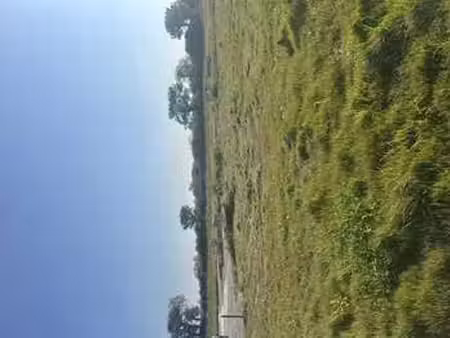 vente terrain à guilers (29820) : à vendre / guilers