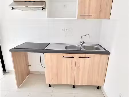 location maison 4 pièces 81m² pins justaret 31860