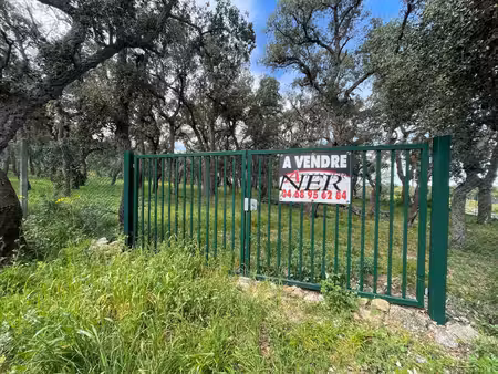 argeles sur mer - les albères - terrain agricole de loisirs clôturé et plat de 2000 m2 -..