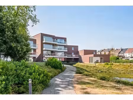 appartement te koop in ronse met 1 slaapkamer