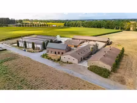 huis te koop in wingene