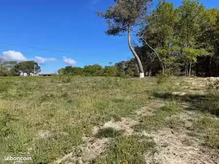 vente terrain 1050 m² targon (33760)