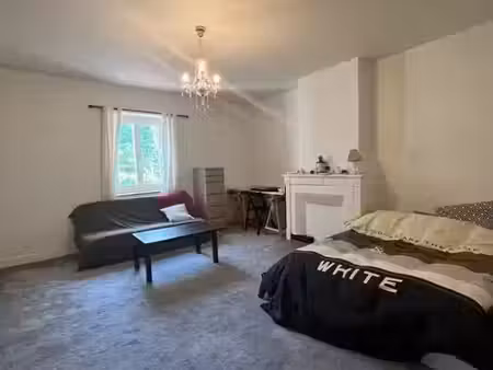 location appartement 1 pièce 45 m² à écully (69130)