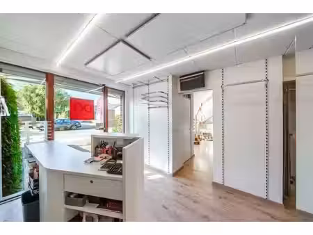 maison unique avec bureau et joli jardin près du centre de r