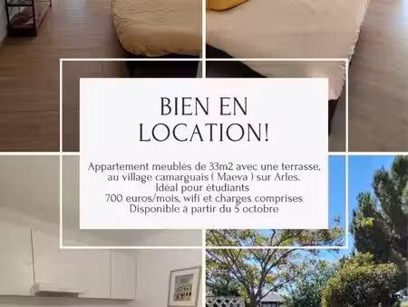 location appartement village camarguais