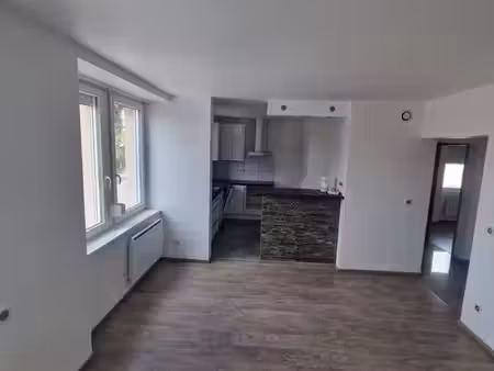 appartement t3 rénové – 55 m² – buanderie  garage & cave – brunstatt