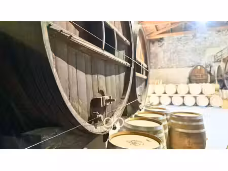 maison de luxe à vendre dans le quartier les cévennes
