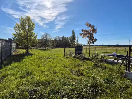 terrain de 1259m2 viabilisé - mondonville