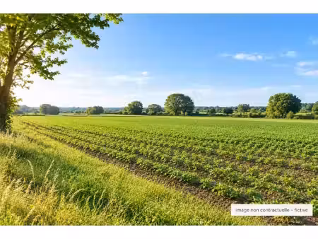 à vendre ensemble de terrains agricoles d'environ 18 22 ha