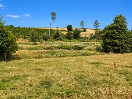 superbe terrain de plus d'un hectare traversé par 1 ruisseau