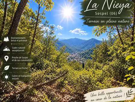 ? à vendre – terrain non constructible de 3 032 m² à sospel