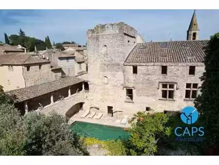 vente château 30 pièces
