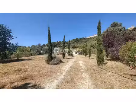 istr'immo laforêt istres