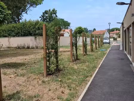 sng