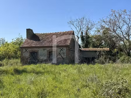 nemrod immobilier