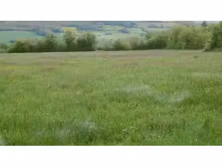 terrain à vendre