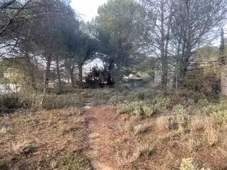terrain constructible viabilisé à vendre