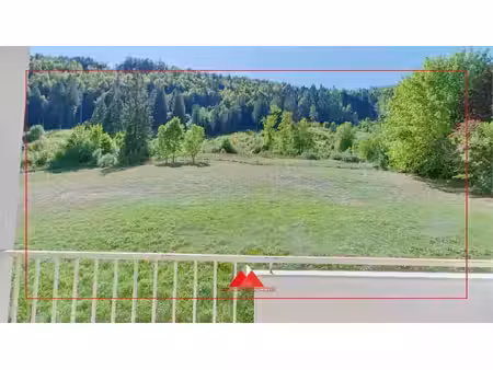 l'immobiliere franco-suisse