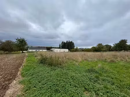 vision immobilier