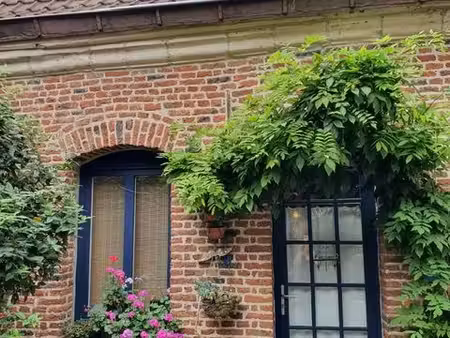 maison vieux lille à louer