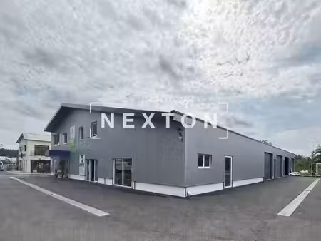 nexton immobilier