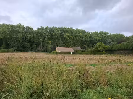 terrain à vendre