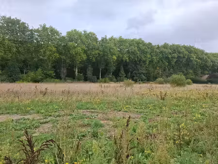 terrain à vendre
