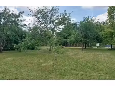 terrain constructible à vendre