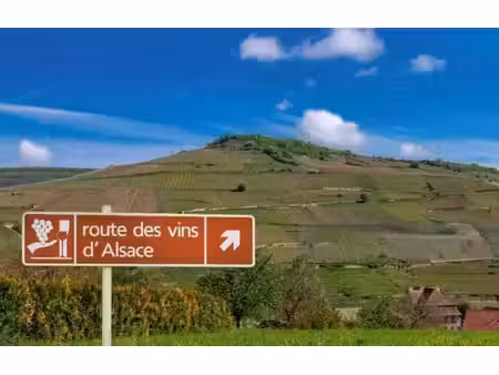 terrain constructible neuf à vendre
