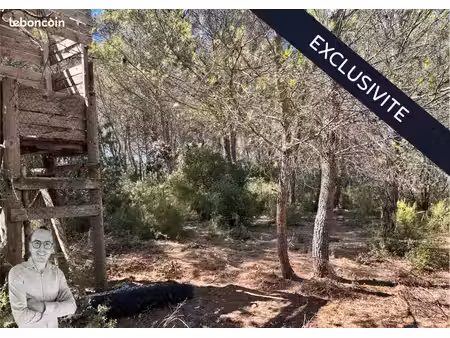 terrain 1 557 m² lancon provence