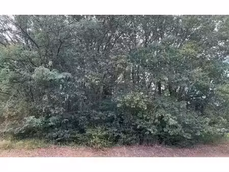 terrain constructible à vendre - neuf