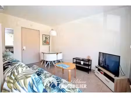 mont blanc immobilier