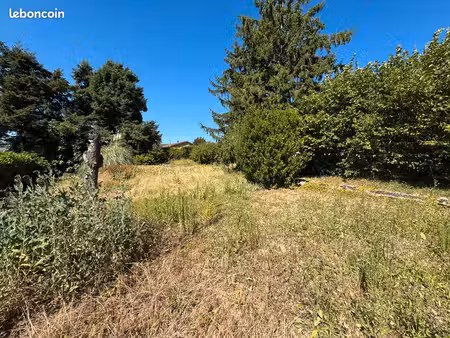 anse le terrain à bâtir 800 m² déjà clos de murs sur trois côtés 