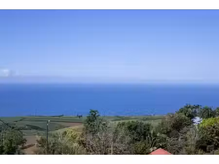 colocation à louer