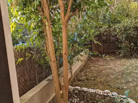 t2 rez de jardin privatif lyon 3