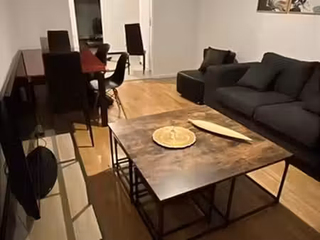appartement proche lyon montchat