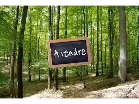 parcelles boisees arsac