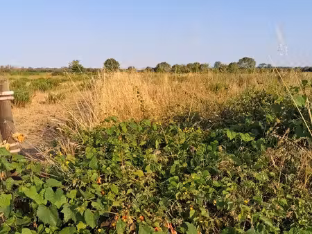 terrain agricole 10 000m2