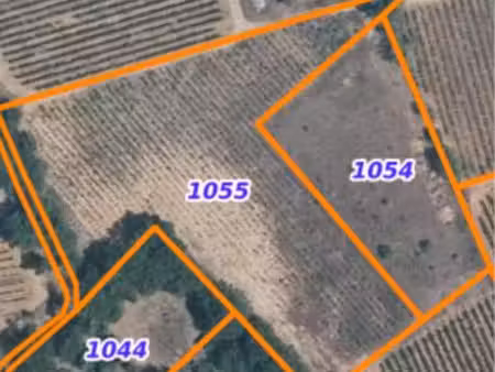 terrain agricole