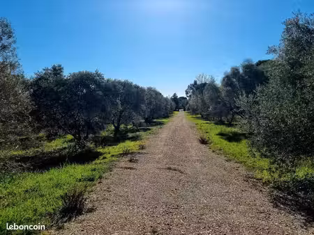 terrain 240 m² ceyras