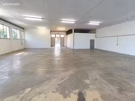 local d'activite 380 m² groslée-saint-benoit