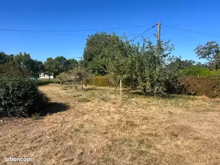 terrain constructible