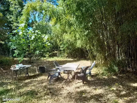 1000m2 en bord de saône pour le loisir