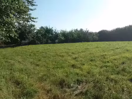 vente terrain 445 m² à pléneuf-val-andré (22370)  180 000 €