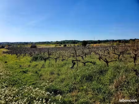 terrain 356 m² loupian