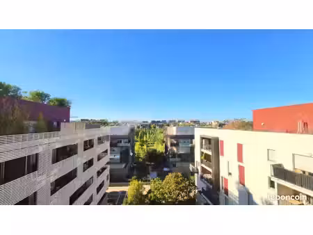 appartement 1 pièce 43 m²