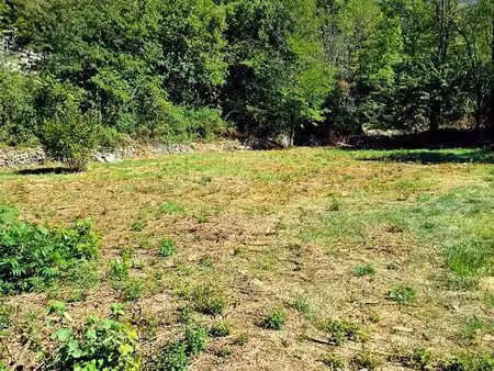 terrain à bâtir 767 m² à alissas (07) – 76 700 – débroussaillé  prêt à visiter