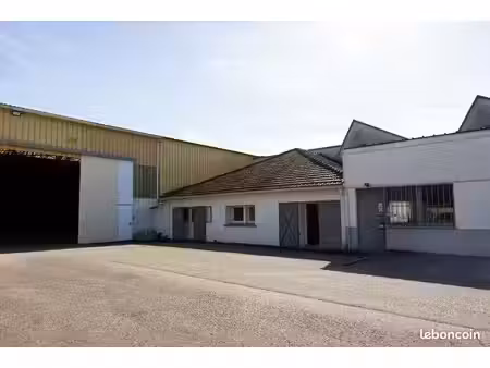 local d'activité 619 m²