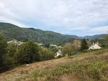 entraygues - grand terrain 6285m2 plein sud