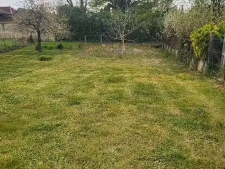 maison avec jardin